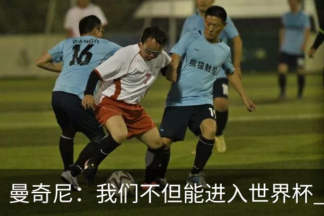 曼奇尼：我们不但能进入世界杯 还能赢得冠军