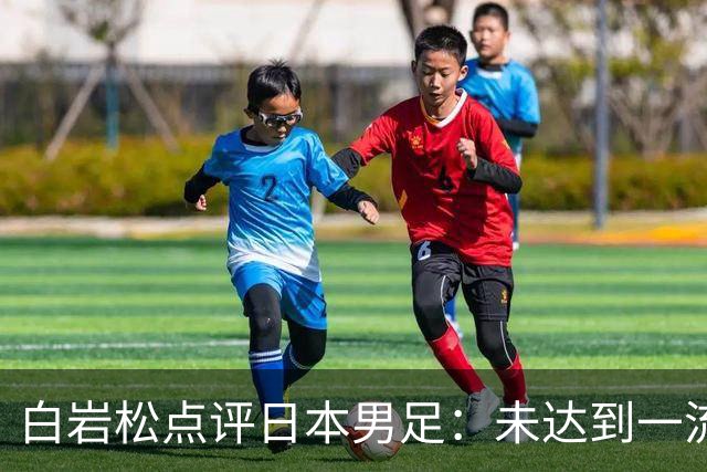 白岩松点评日本男足：未达到一流强队标准，仍需克服对荷兰的恐惧